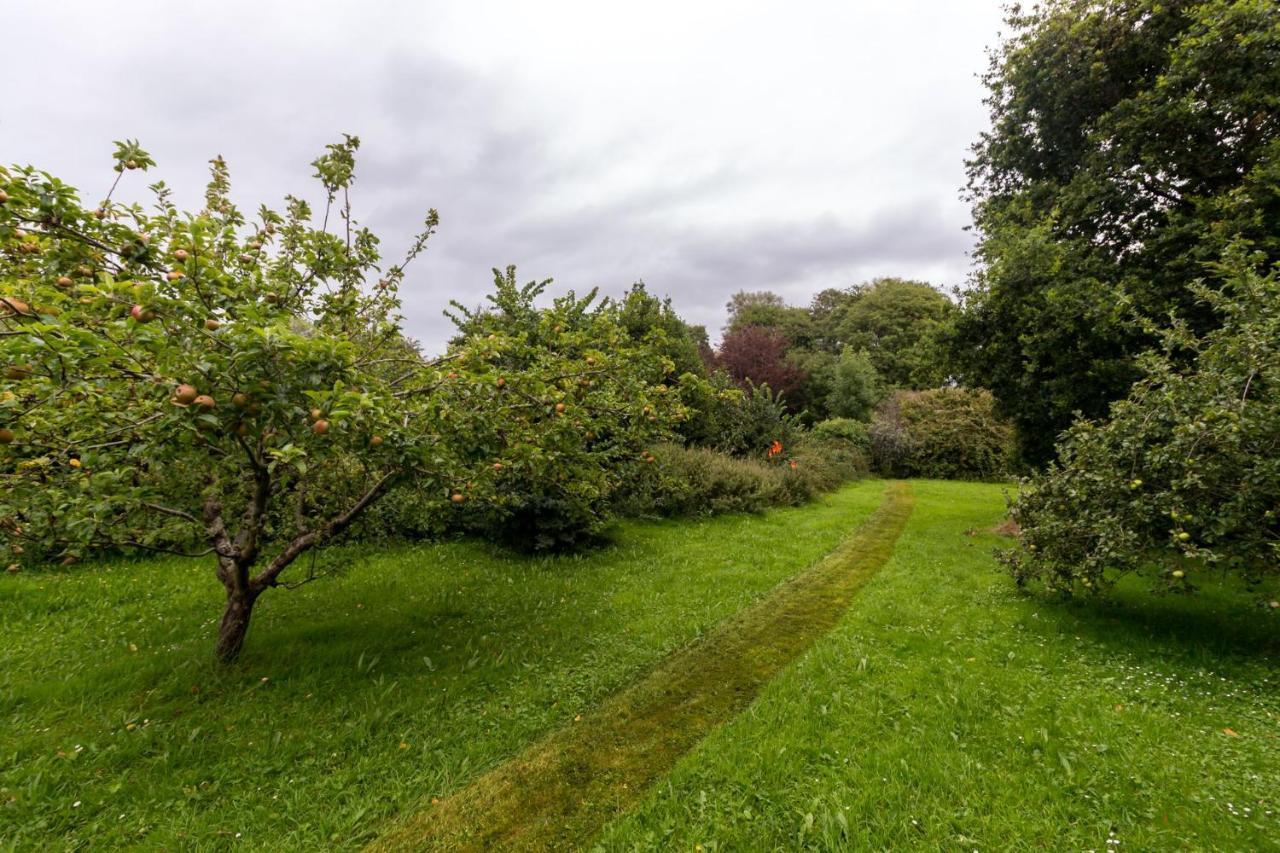 Kittiwake Cottage Braunton Exterior photo